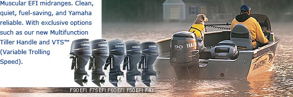 Mid-Range Four Stroke Series